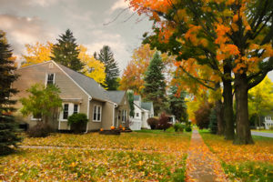 quiet village street in autumn