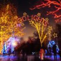 8 Best Washington DC area Christmas Light Displays 2016