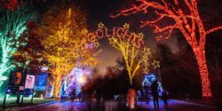 8 Best Washington DC area Christmas Light Displays 2016